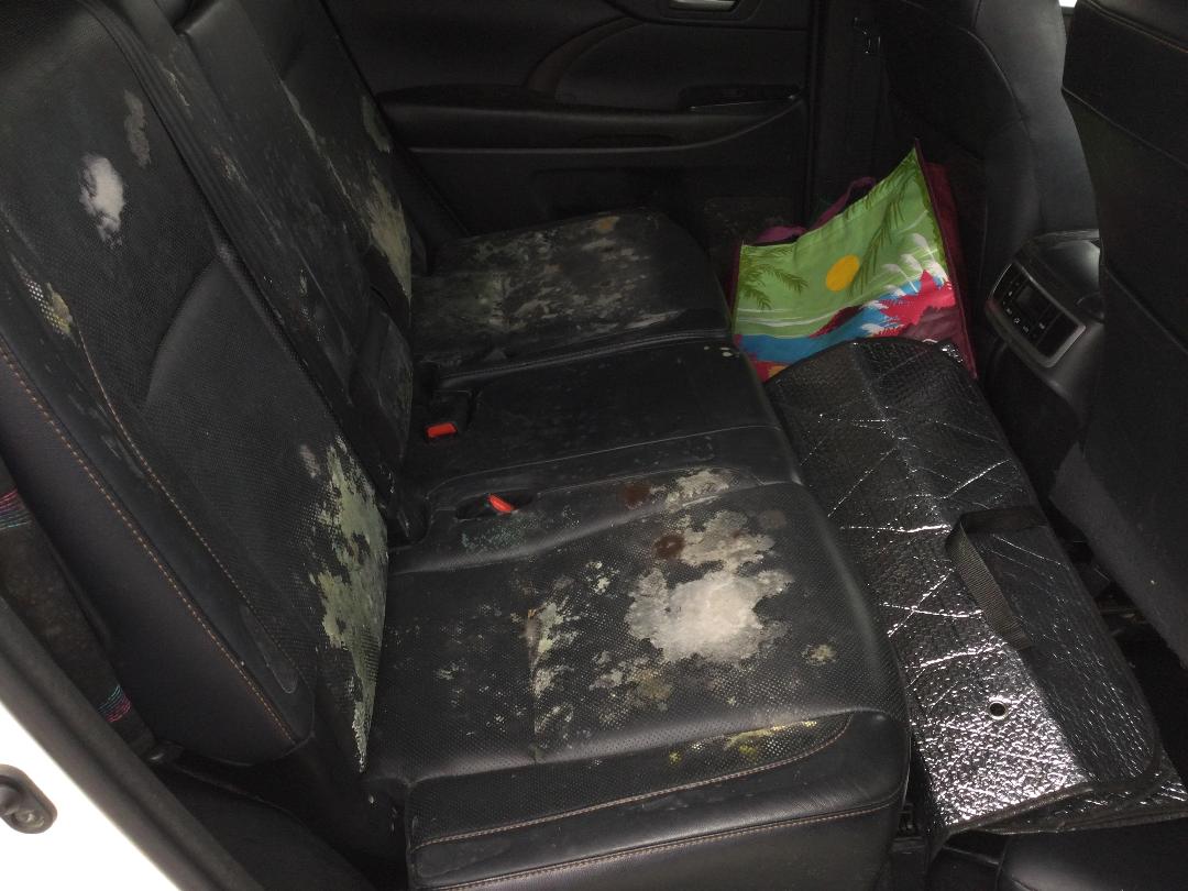 Photo '14' of Toyota Highlander GXL Photo '14' of Toyota Highlander GXL