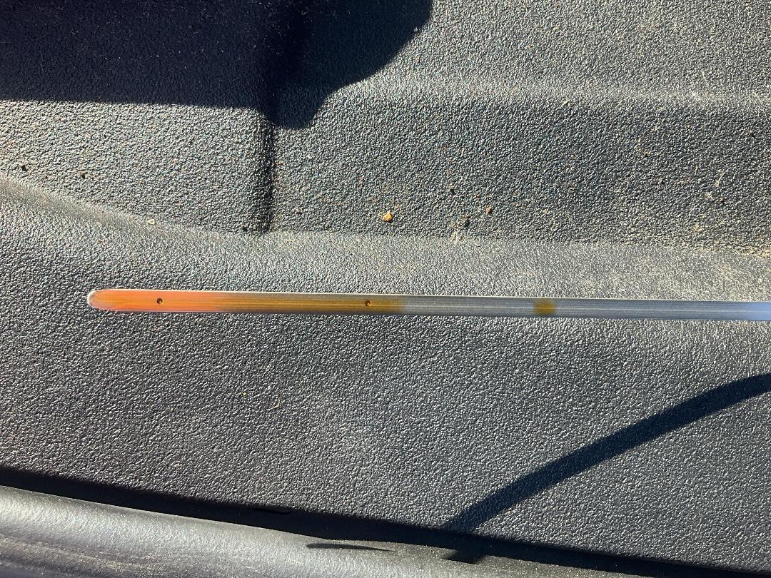 Photo '10' of Toyota Prius Hybrid