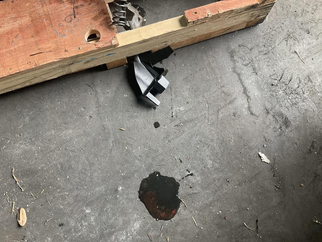 Photo '13' of Yamaha MT-03 LAH