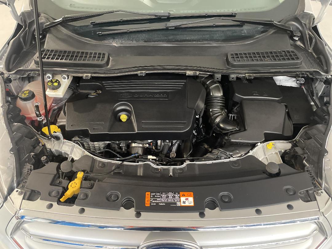 Photo '13' of Ford Escape