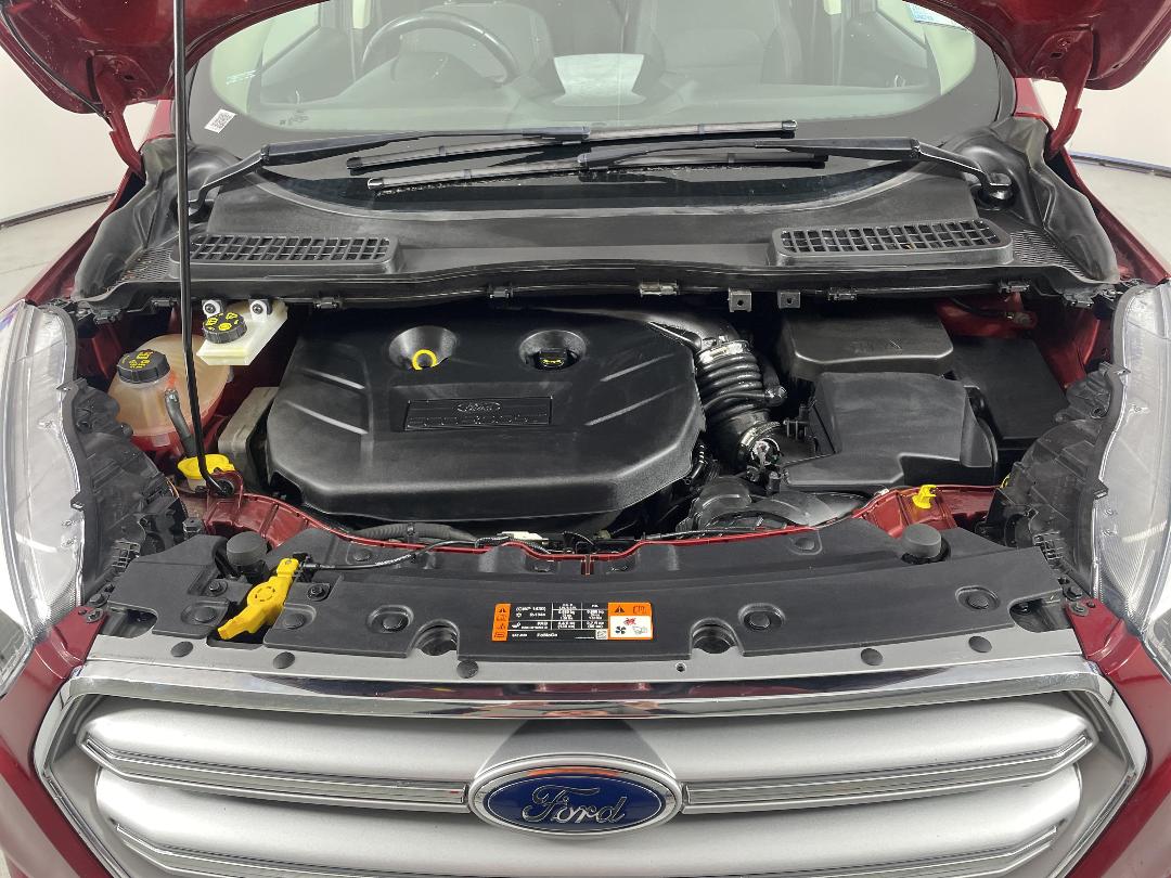 Photo '13' of Ford Escape