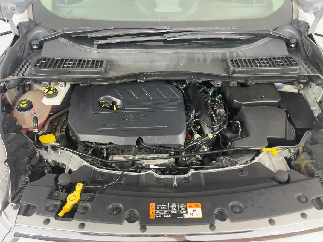 Photo '13' of Ford Escape