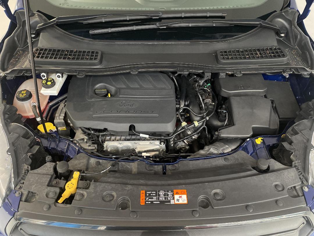 Photo '13' of Ford Escape