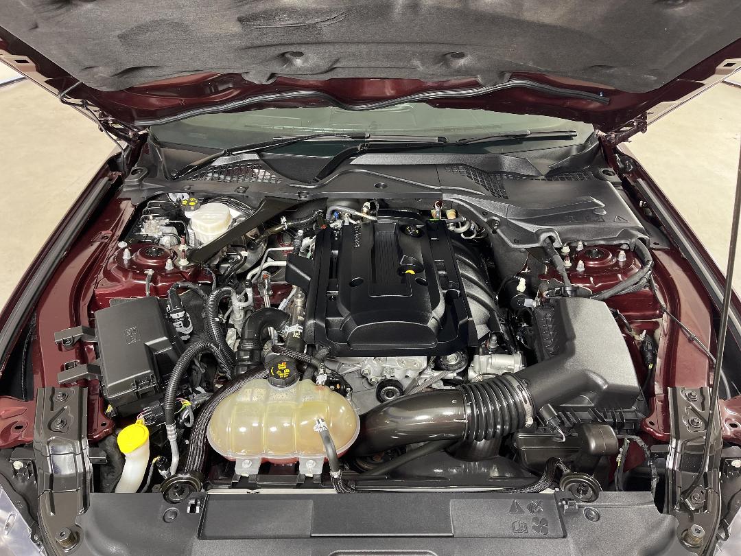 Photo '13' of Ford Mustang Photo '13' of Ford Mustang