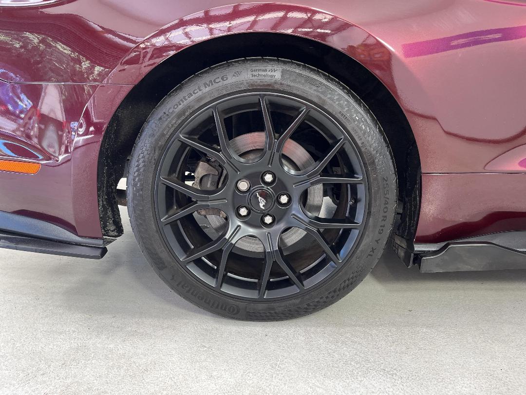 Photo '12' of Ford Mustang Photo '12' of Ford Mustang