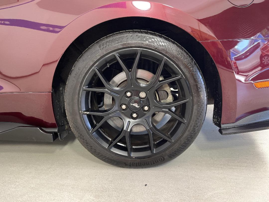 Photo '11' of Ford Mustang Photo '11' of Ford Mustang