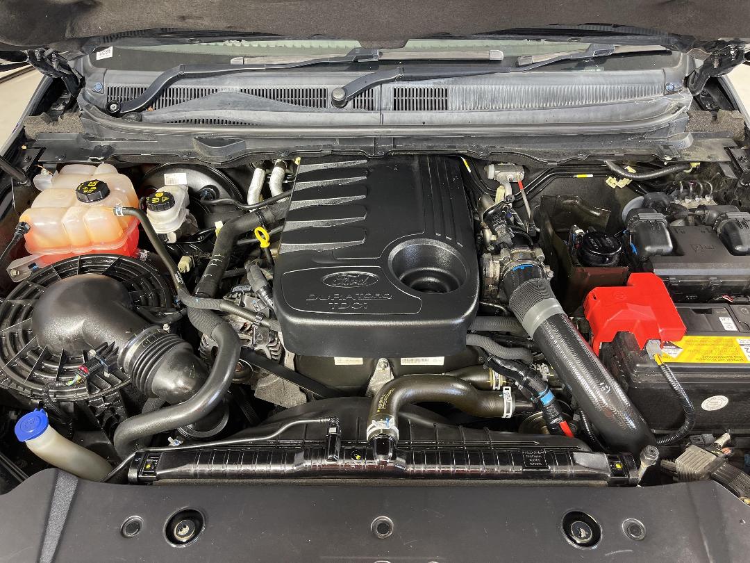 Photo '13' of Ford Ranger