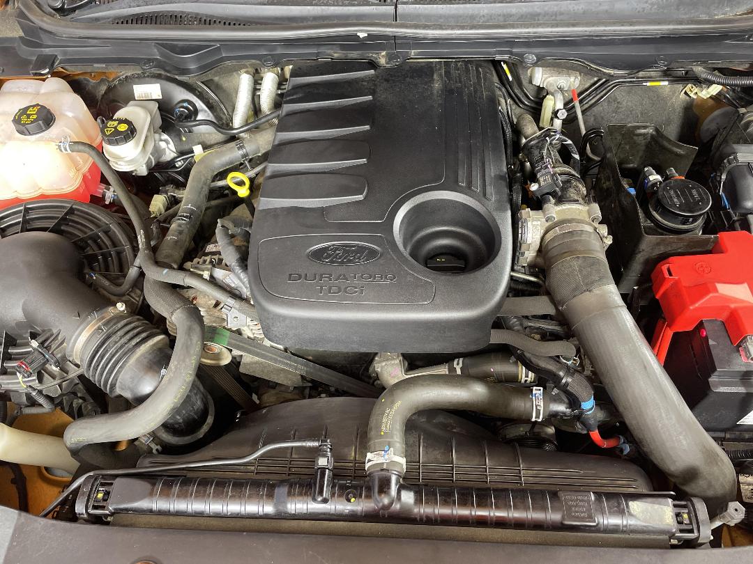 Photo '13' of Ford Ranger