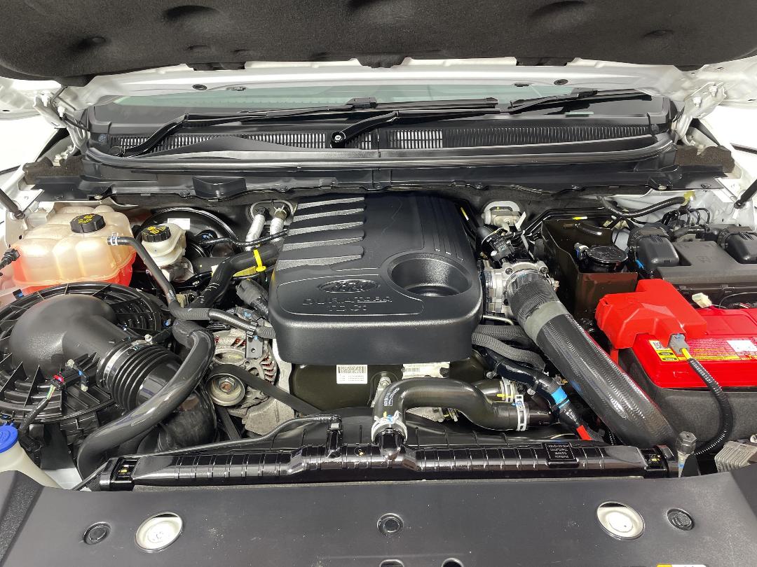 Photo '13' of Ford Ranger