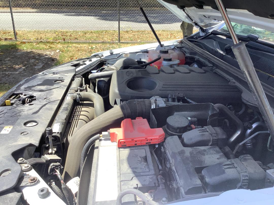 Photo '21' of Ford Ranger XLT Double CAB W/S Photo '21' of Ford Ranger XLT Double CAB W/S