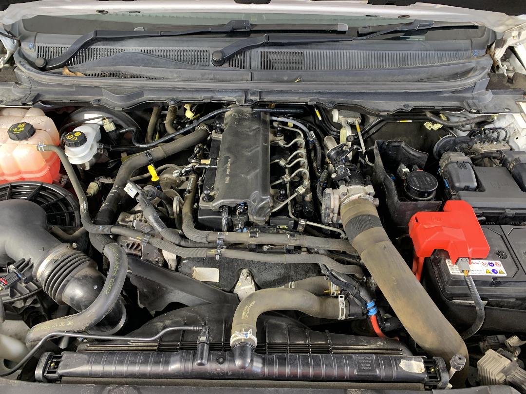 Photo '13' of Ford Ranger