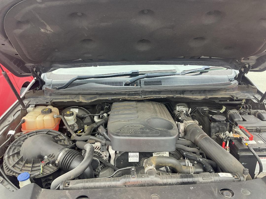 Photo '9' of Ford Ranger XLT Double CAB W/S Photo '9' of Ford Ranger XLT Double CAB W/S