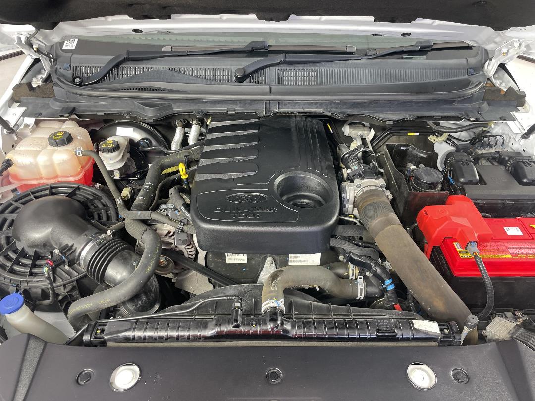 Photo '13' of Ford Ranger