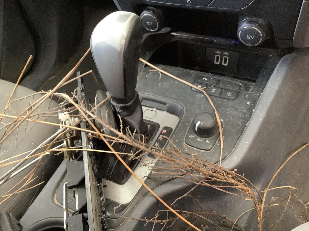 Photo '24' of Ford Ranger XLT Double CAB W/SA Photo '24' of Ford Ranger XLT Double CAB W/SA