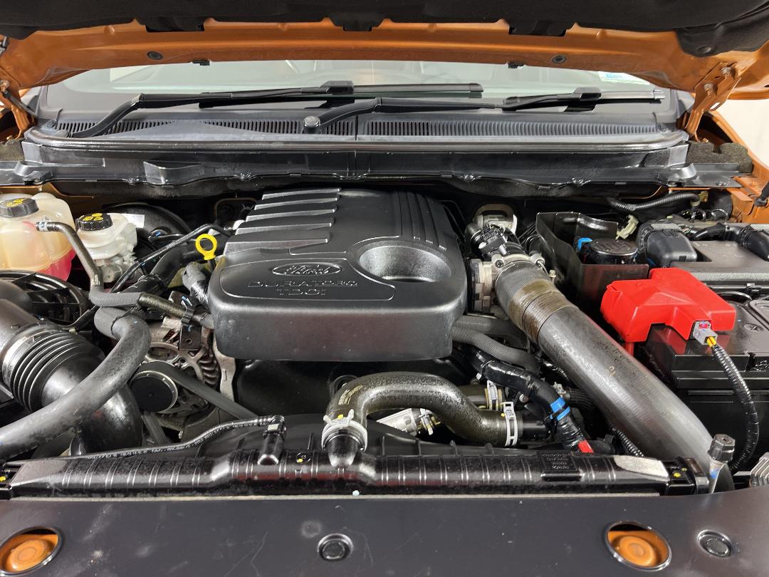 Photo '13' of Ford Ranger Photo '13' of Ford Ranger