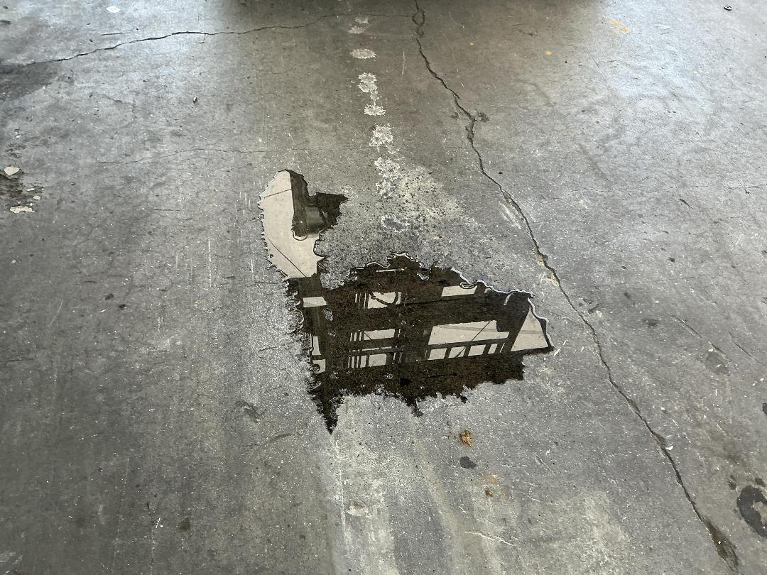 Photo '22' of Ford Transit Custom LWB LOW Roof