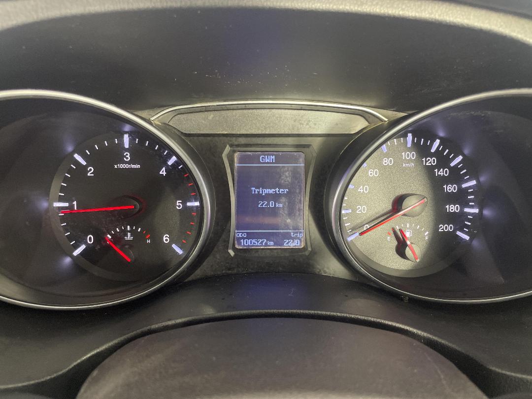 Photo '21' of Great Wall Steed