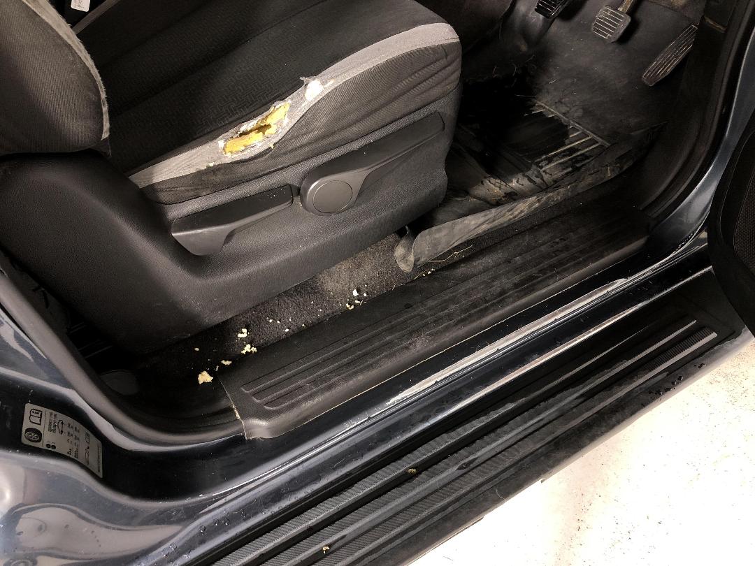 Photo '23' of Holden Colorado