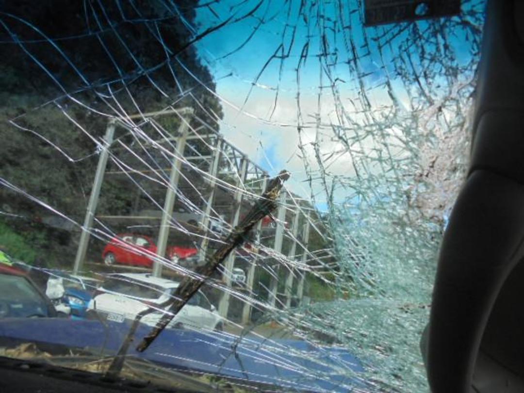 Photo '29' of Holden Colorado LTZ DC PU