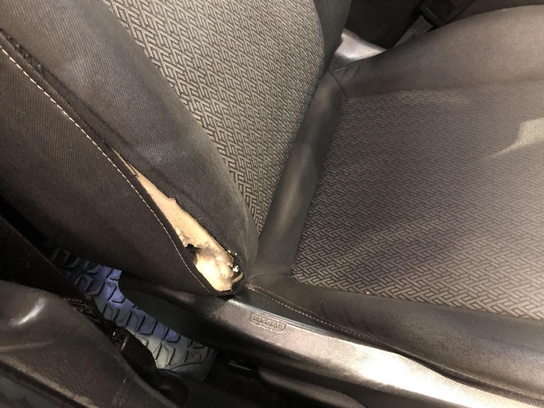 Photo '30' of Holden Commodore