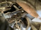 Thumbnail '24' of Honda Pioneer Thumbnail '24' of Honda Pioneer