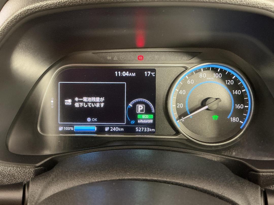 Photo '21' of Nissan Leaf