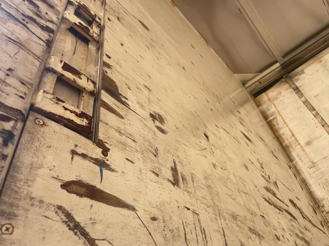 Photo '11' of ROADMASTER FG 5A-11.5 Curtainsider Full