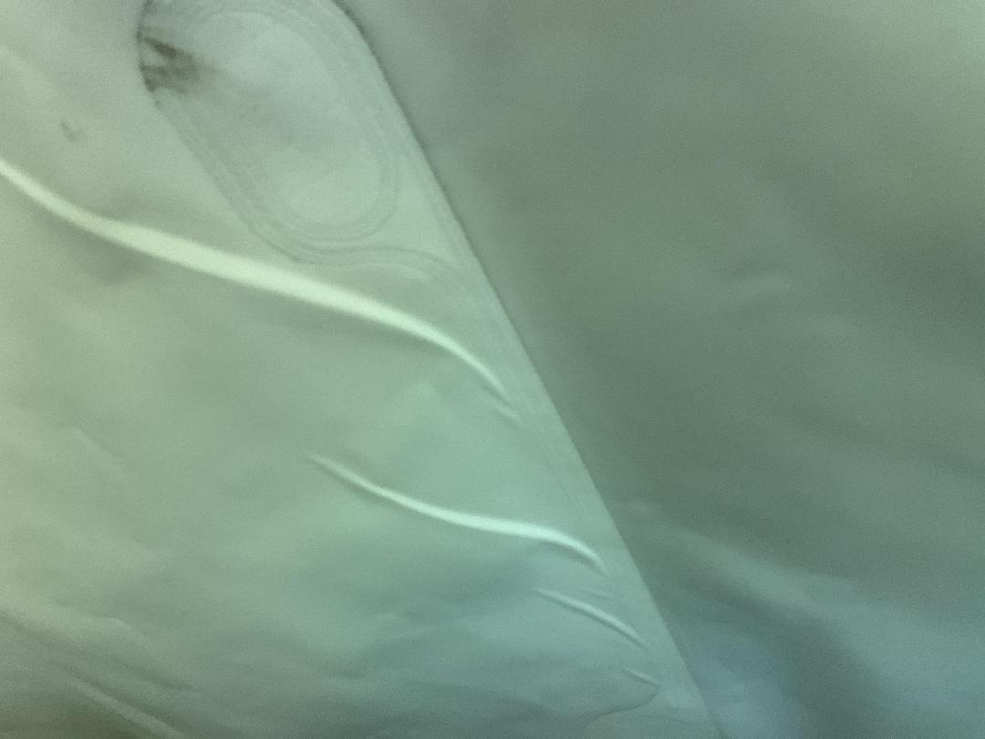 Photo '19' of Tesla Model X P100D