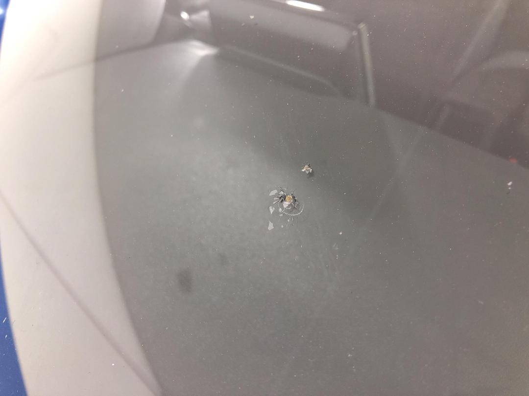 Photo '25' of Toyota Corolla