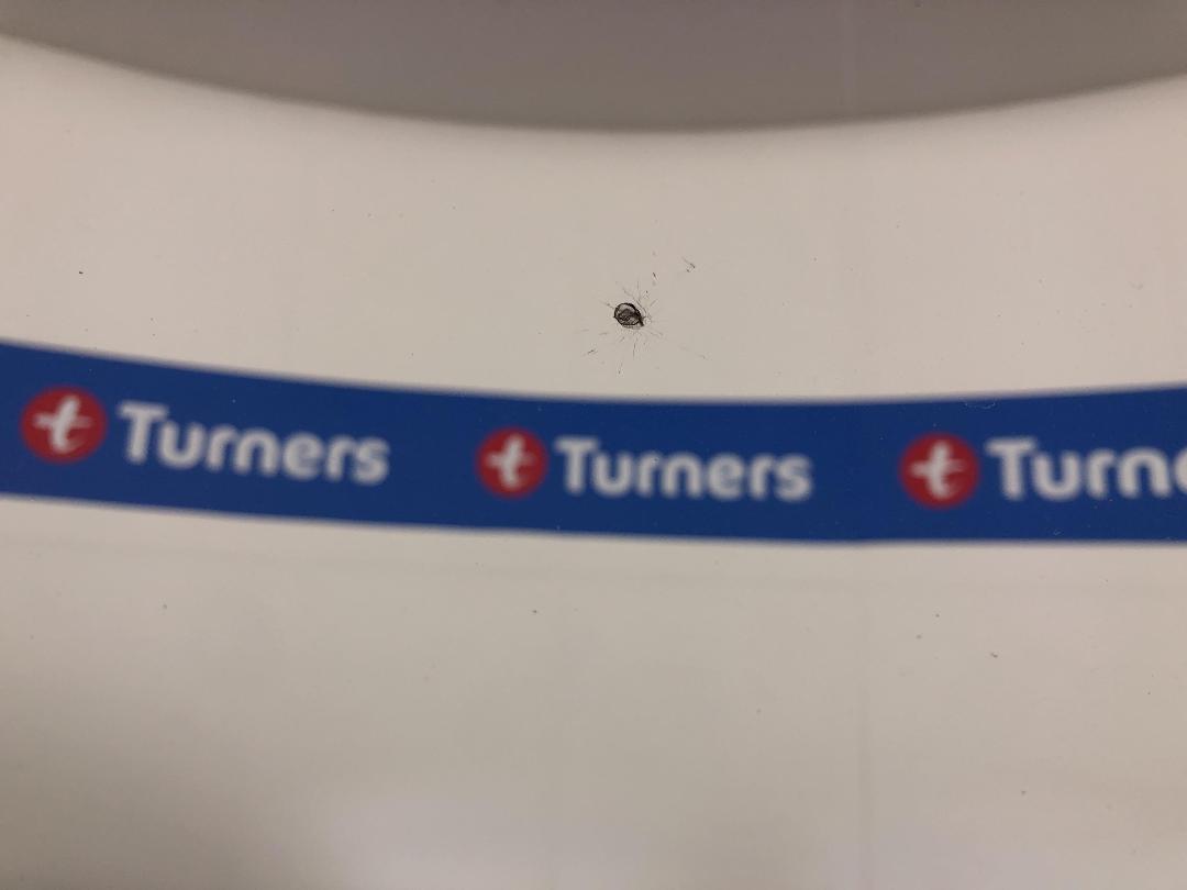 Photo '23' of Volkswagen Tiguan