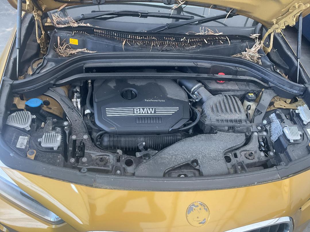 Photo '18' of BMW X2