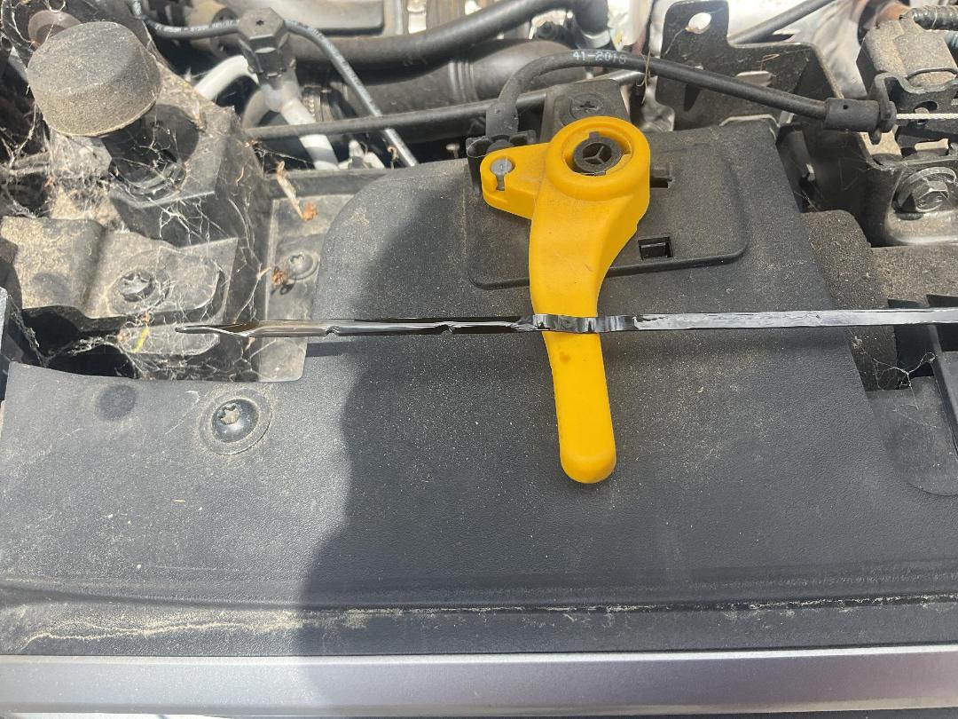 Photo '12' of Ford Ecosport Trend