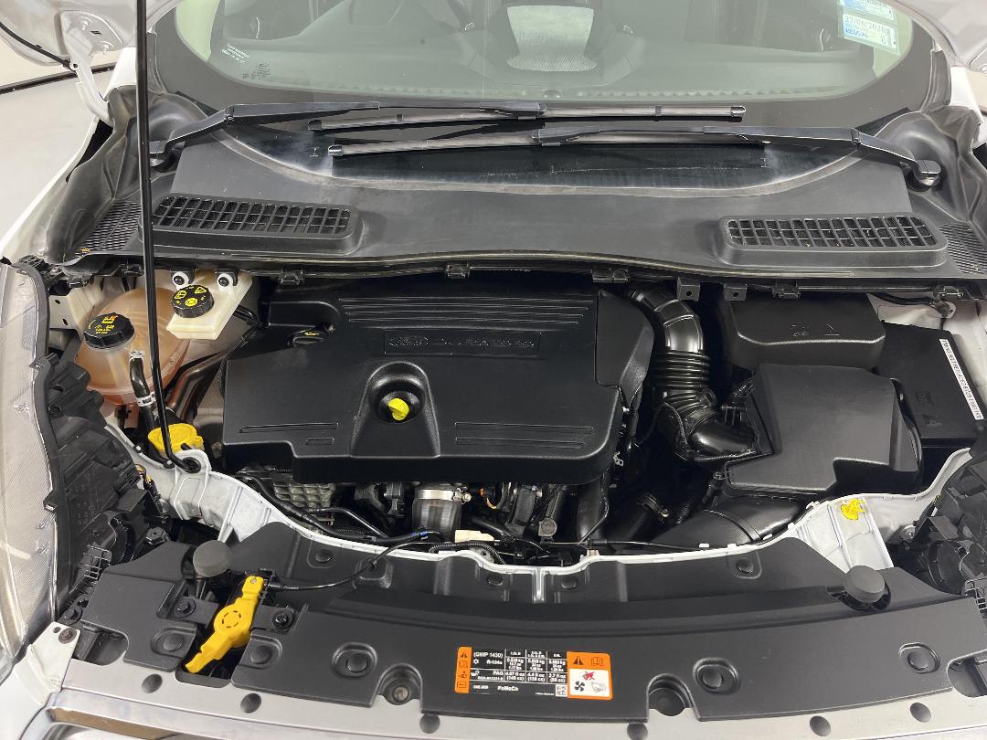 Photo '13' of Ford Escape