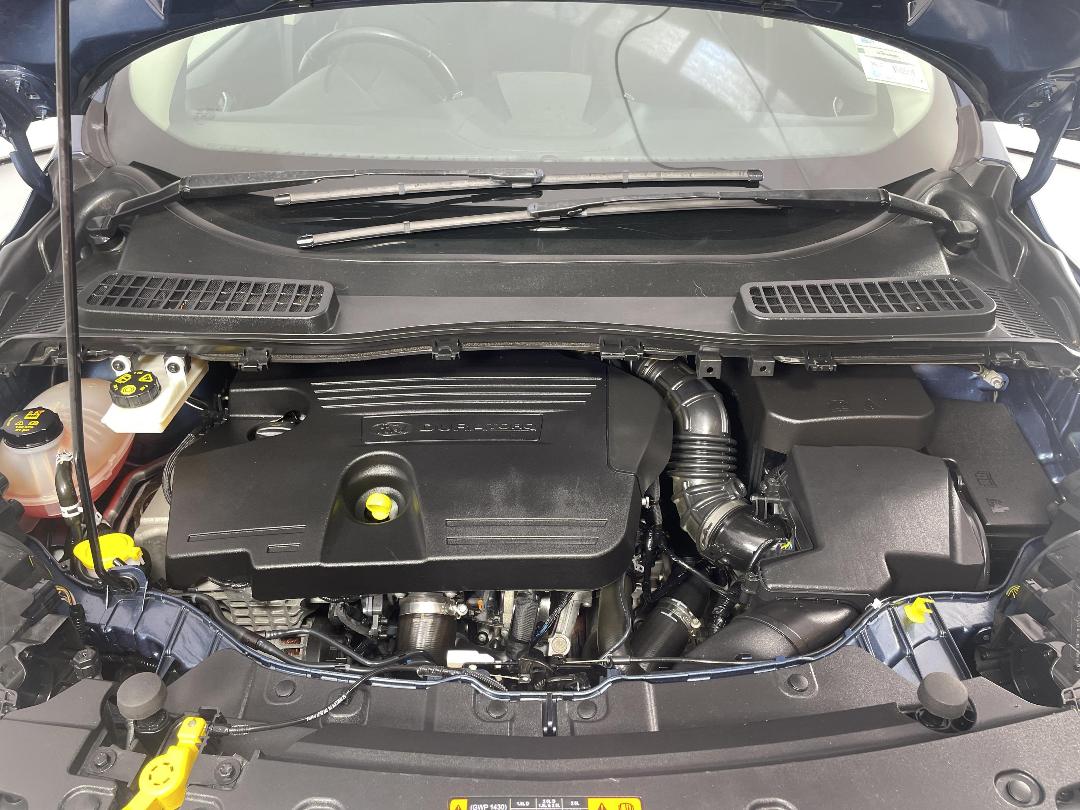 Photo '13' of Ford Escape