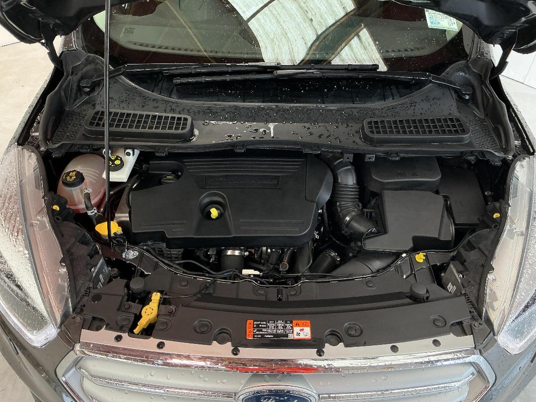 Photo '13' of Ford Escape