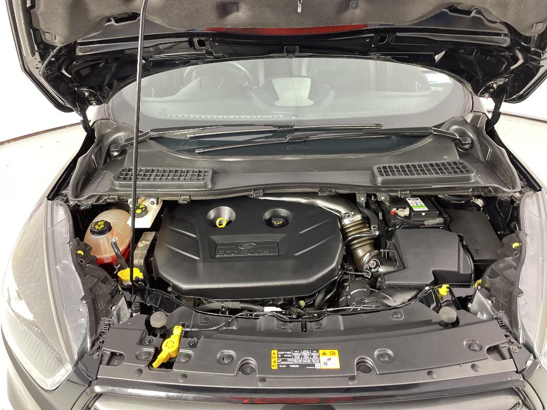 Photo '13' of Ford Escape