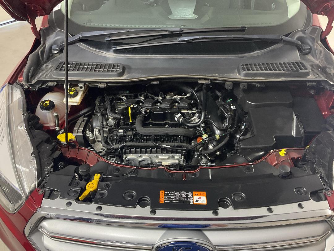 Photo '13' of Ford Escape Photo '13' of Ford Escape