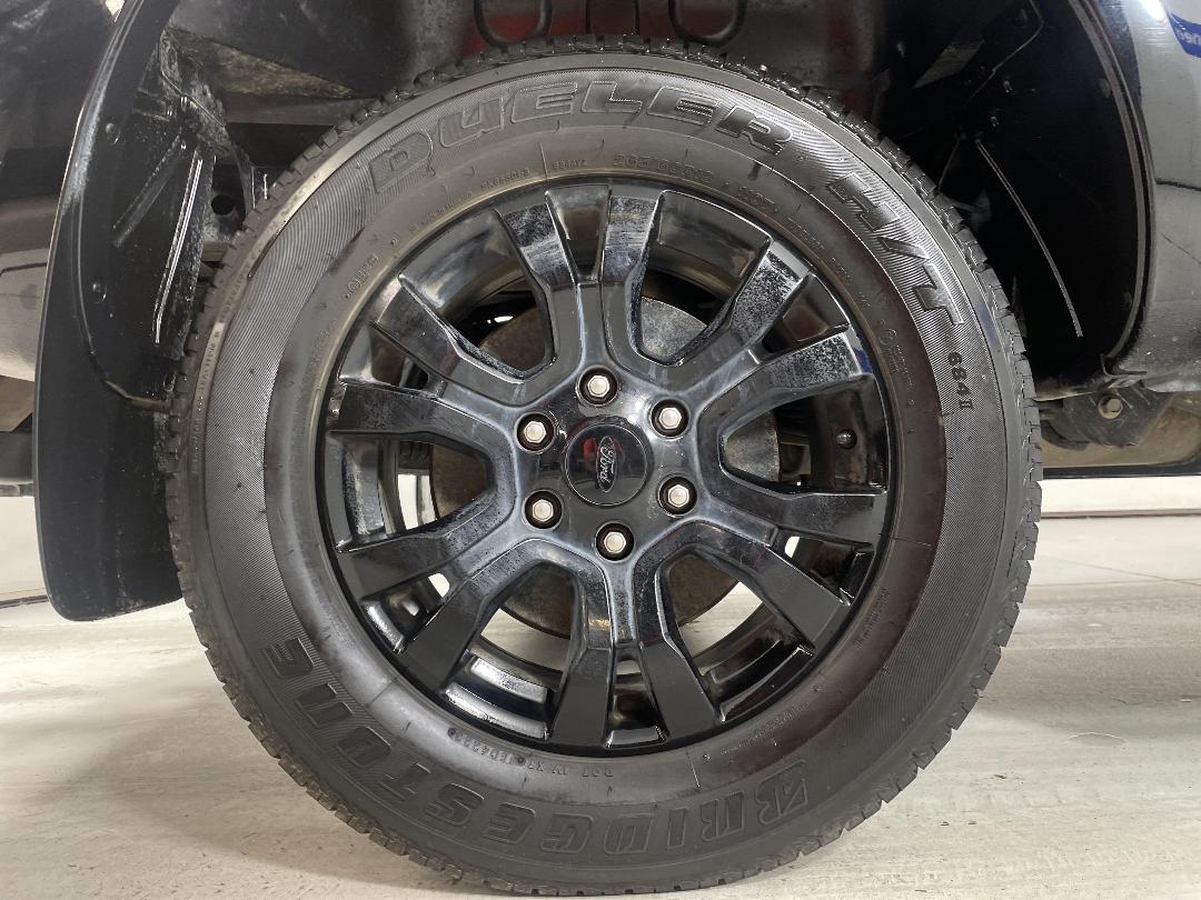 Photo '12' of Ford Ranger