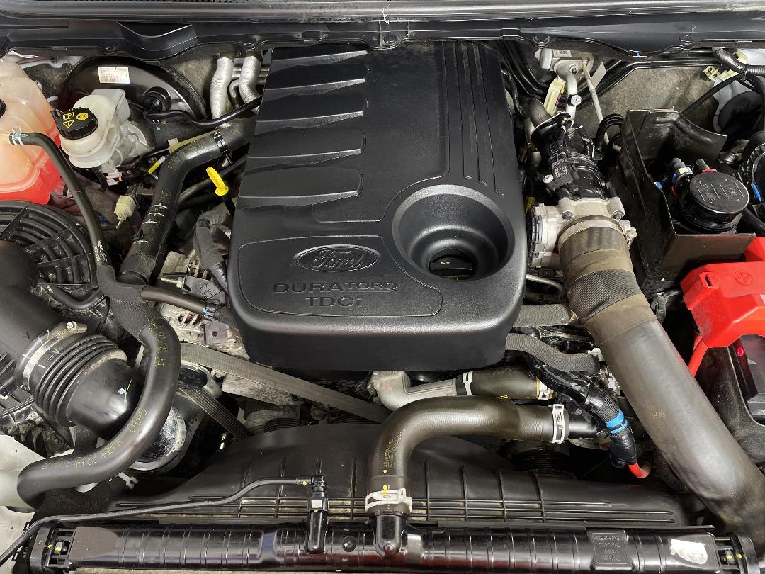 Photo '13' of Ford Ranger