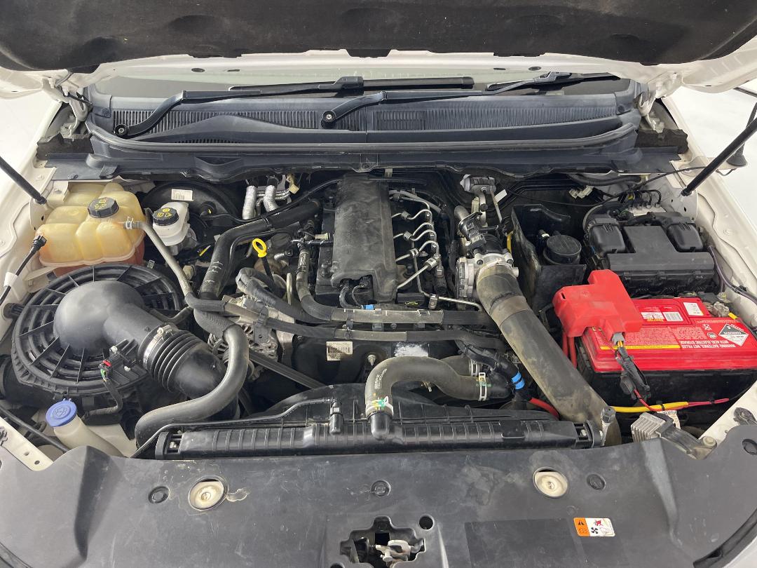 Photo '13' of Ford Ranger