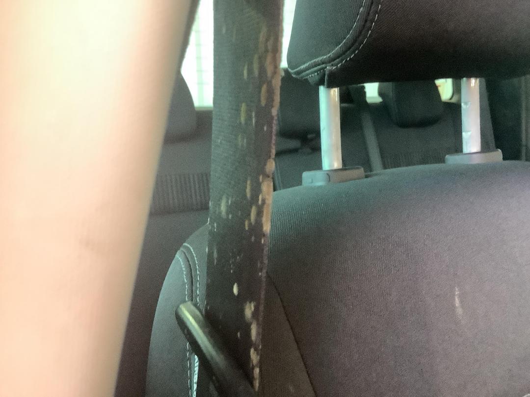 Photo '13' of Ford Ranger XLT Double CAB W/SA Photo '13' of Ford Ranger XLT Double CAB W/SA