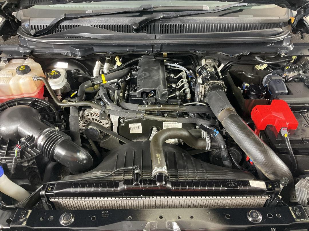 Photo '13' of Ford Ranger