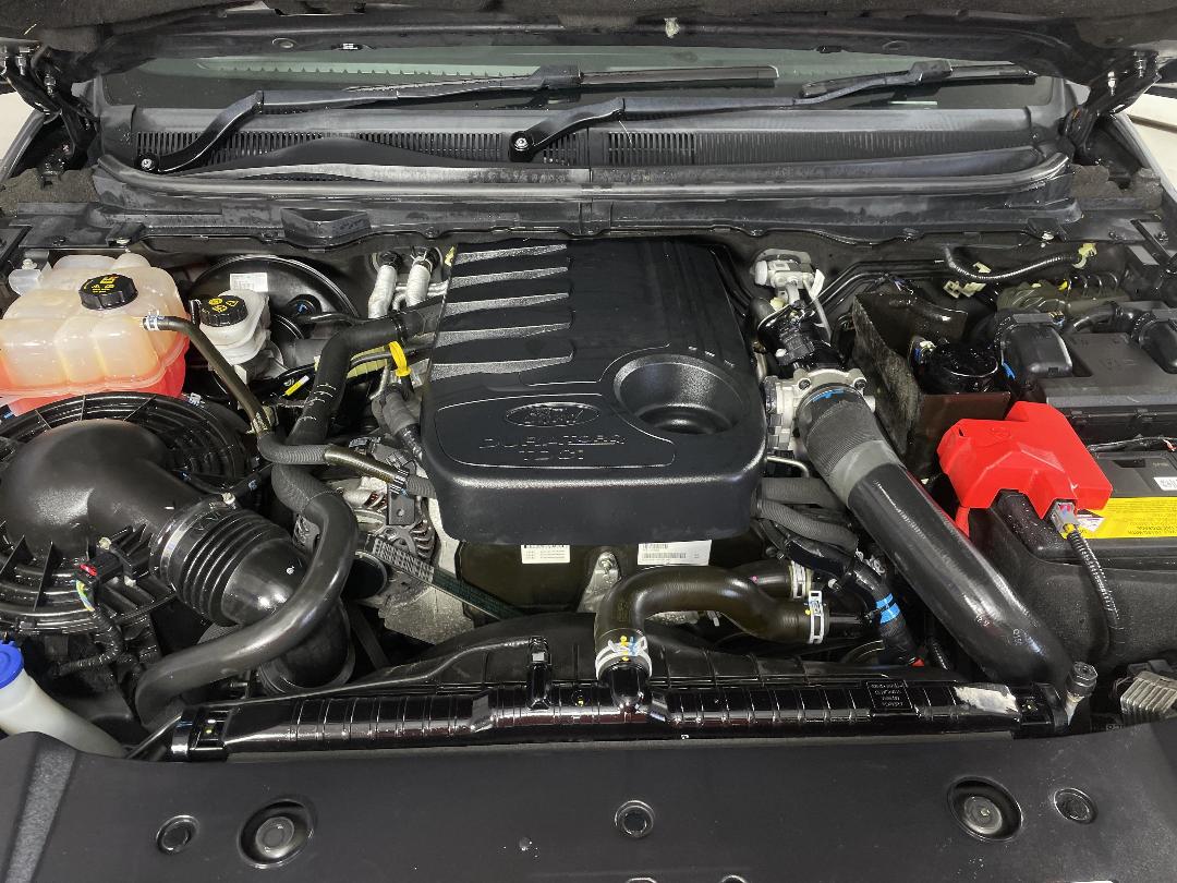 Photo '13' of Ford Ranger