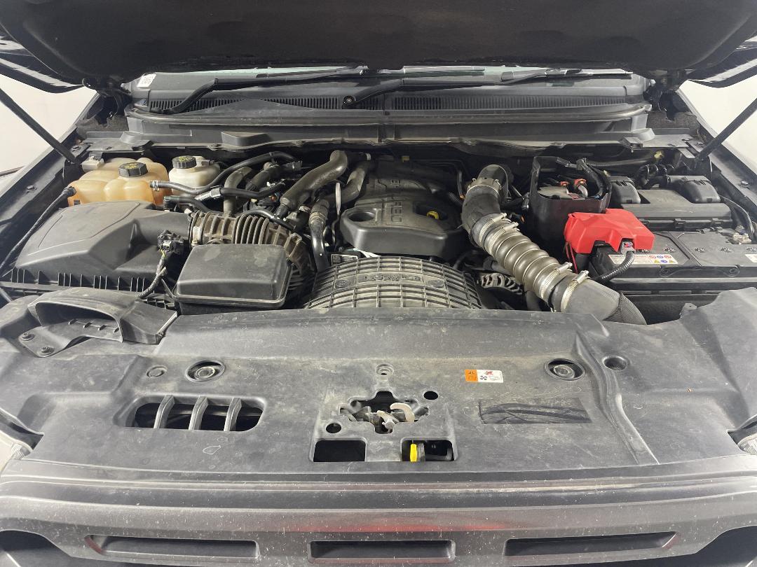 Photo '13' of Ford Ranger