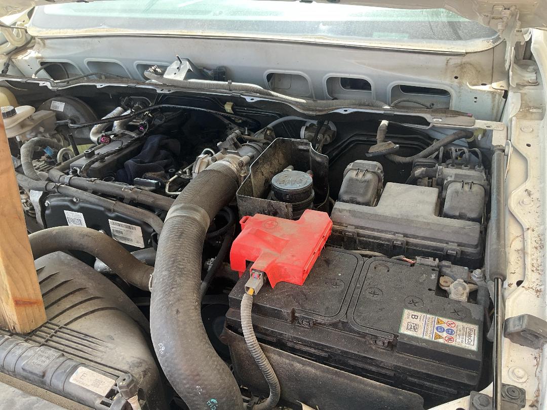 Photo '10' of Ford Ranger XL Double CAB W/S