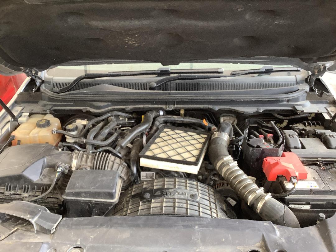 Photo '11' of Ford Ranger Wildtrak