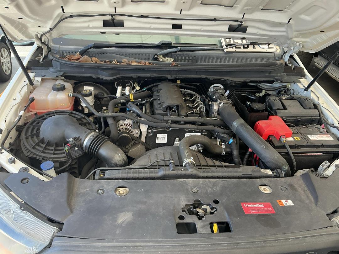 Photo '17' of Ford Ranger XL Sing/CAB Chassis Photo '17' of Ford Ranger XL Sing/CAB Chassis