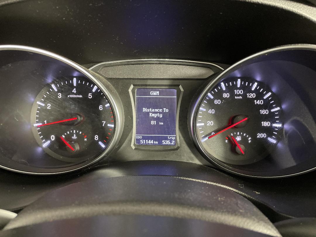 Photo '21' of Great Wall Steed