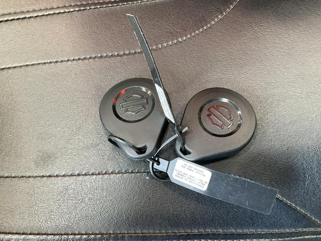 Photo '12' of Harley Davidson Touring 19 Road Glide S