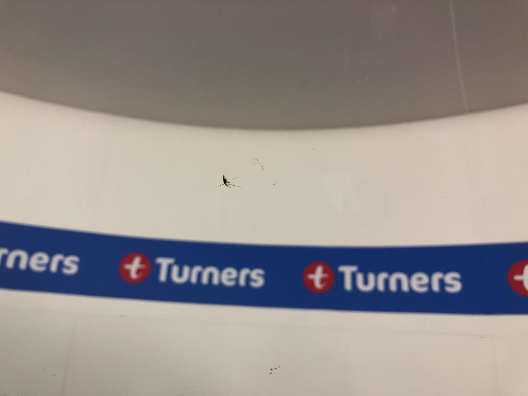 Photo '24' of Holden Colorado Photo '24' of Holden Colorado